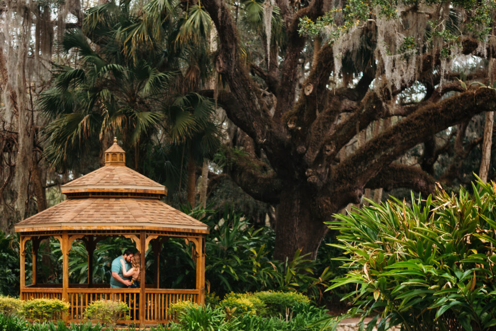 Engaged couple at washington Oaks gardens, Florida
